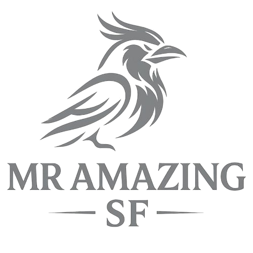 Mr Amazing SF